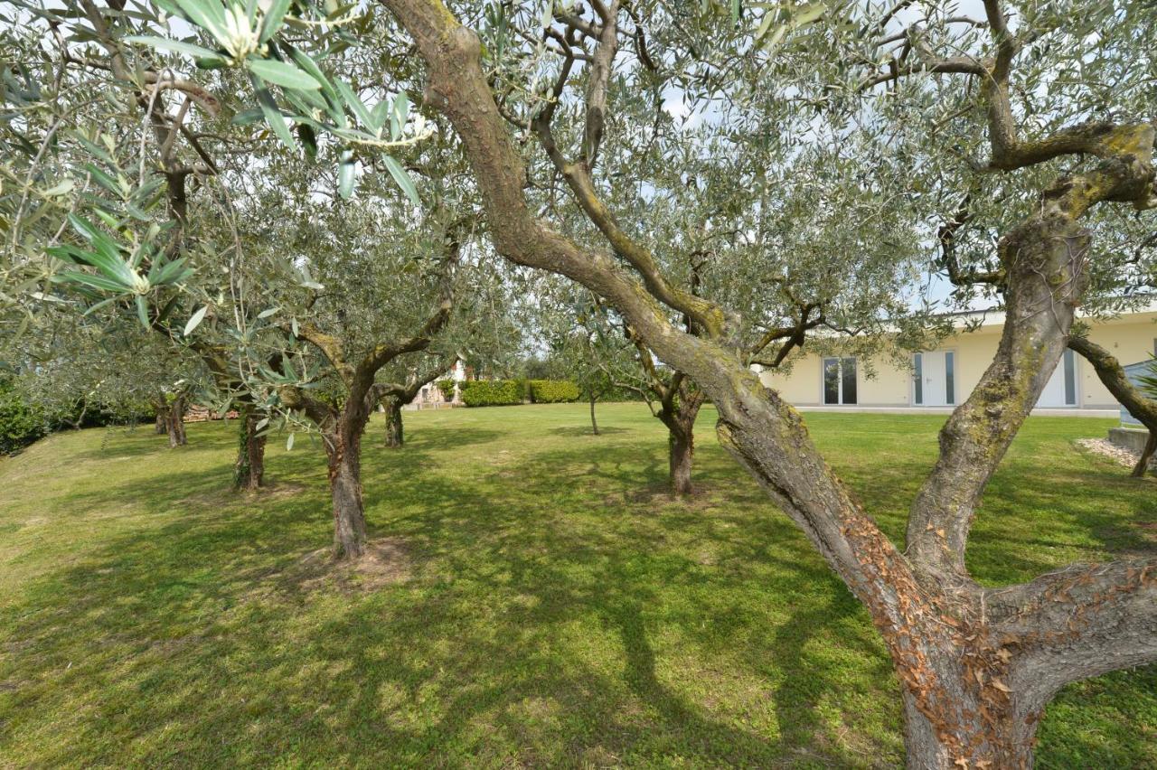 Albergo Panoramica 바르돌리노 외부 사진